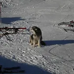Rifugio Belvedere Камполук