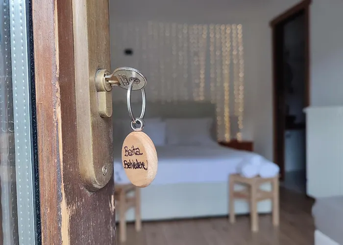 Rifugio Belvedere 住宿加早餐酒店 尚波吕克