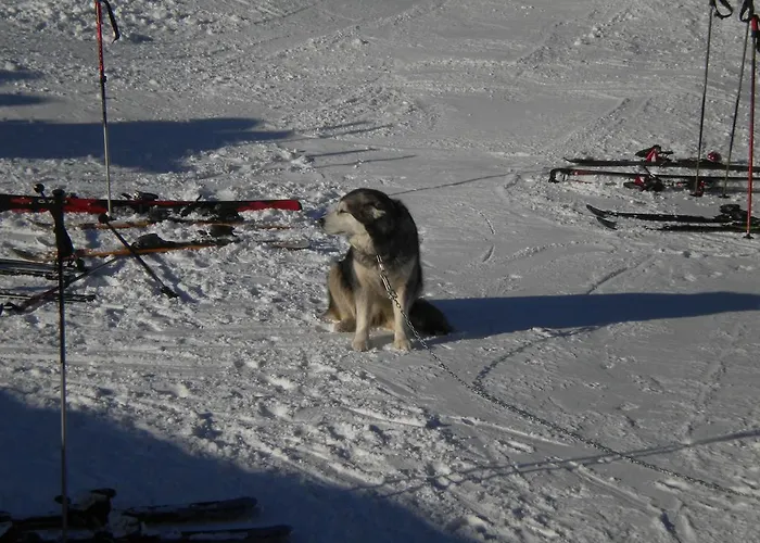 Rifugio Belvedere Champoluc